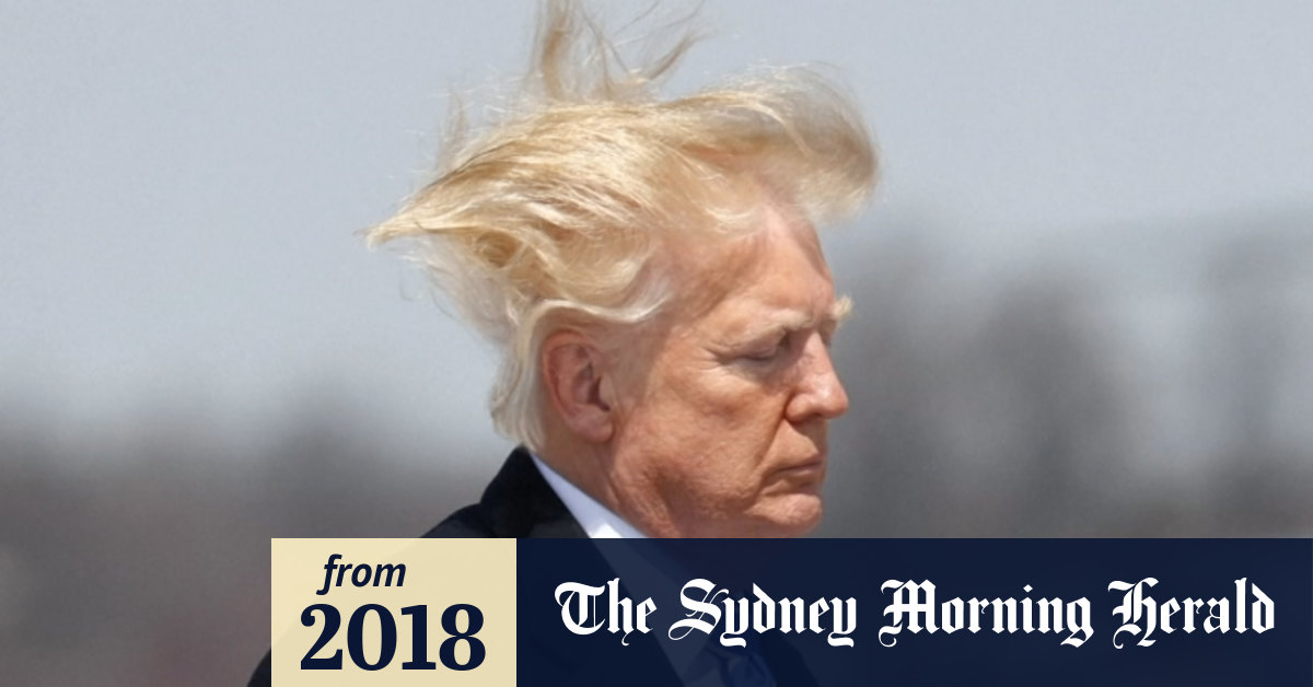 The answer to Trump s hair is blowing in the wind it s real